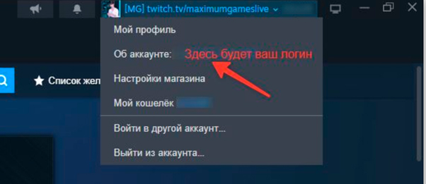 Логин Steam в меню пользователя ПК-клиента